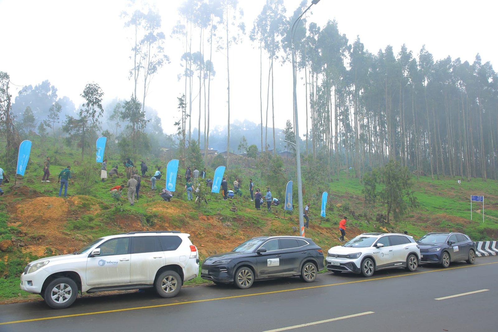 Planting indigenous trees on Anbessa Group land in Entoto above Addis Ababa